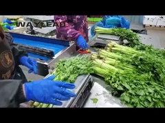 Automatische Süßwarenverpackungsmaschine