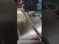 Automatische HFF-Horizontalströmungsverpackungsmaschine Gewerbliche Eiscreme Verpackungsmaschine WZ-220