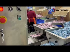 Sie sind herzlich eingeladen, den effizienten Betrieb der Beutelverpackungsmaschine zu beobachten.