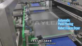 Automatischer Plattenplatzierungsroboter-Gefriertrockner