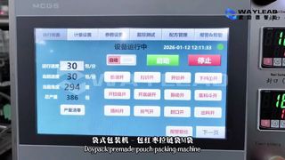 Schnelle Verpackungsmaschine für Flüssigkeitsbeutel WG250