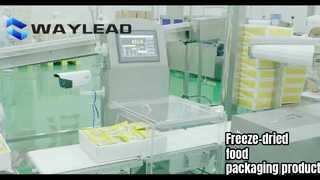 Automatischer Plattenplatzierungsroboter-Gefriertrockner Produktionslinie für gefriergetrocknete Lebensmittelverpackungen
