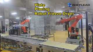 Automatische Plattenplatzierungsroboter-Gefriertrockner-Verpackungsmaschine