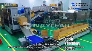 Materialhandhabungs-, Förder-, automatische Zähl-, Verpackungs- und Palettiersysteme