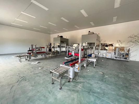 Formfunktion Automatische Verpackungslinie 35-150 Beutel/min Für Kartongröße 250-350g/m2