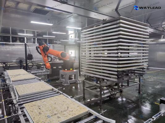 Hocheffizienter, automatischer Plattenplatzierungsroboter, kundenspezifisch für Gefriertrocknungs-Produktionslinien